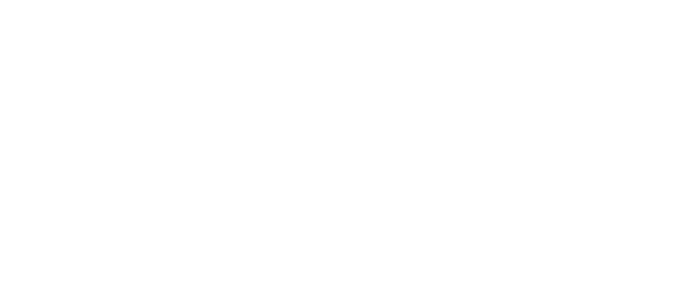Sakartvelo Style